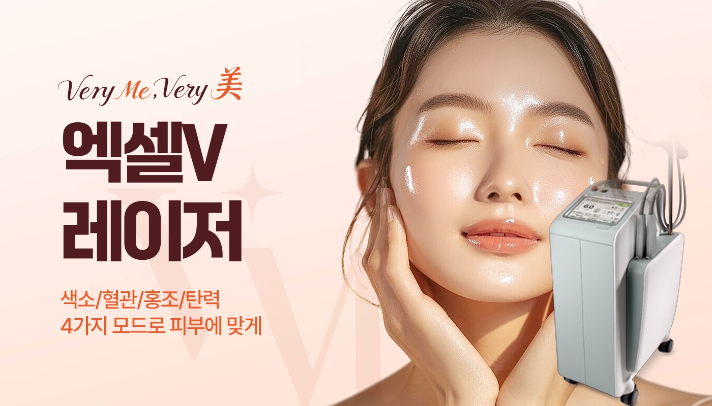 엑셀V레이저